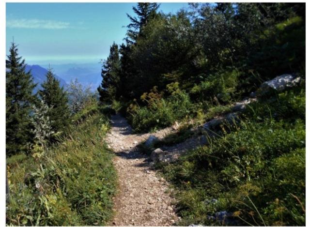 Grenoble Sud Varces Suite Privatisee Au Pied Des Montagnes Esterno foto
