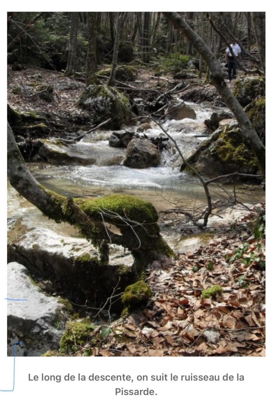 Grenoble Sud Varces Suite Privatisee Au Pied Des Montagnes Esterno foto